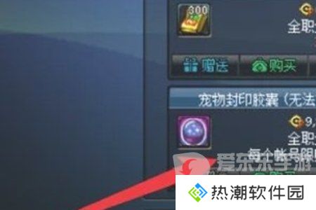 地下城与勇士起源宠物封印胶囊怎么用 宠物封印胶囊使用方法