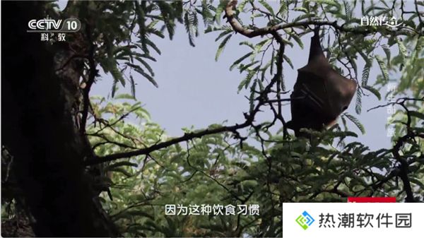 时光未央