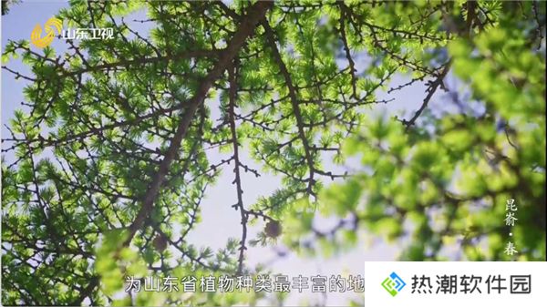 爱尚电视