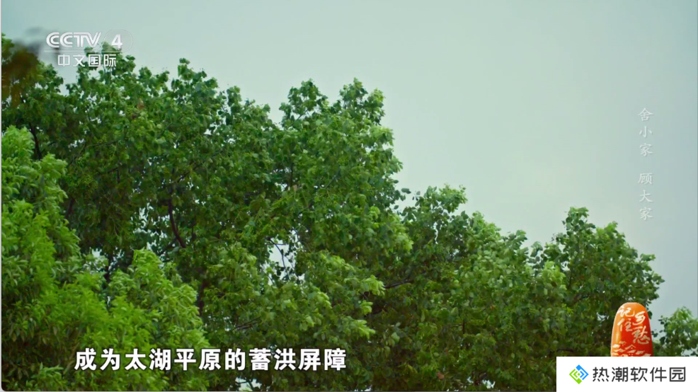 Ipv6青柠电视